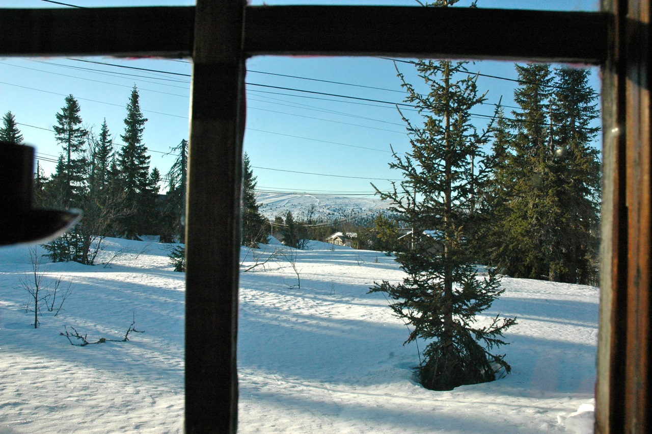 DSC_8806