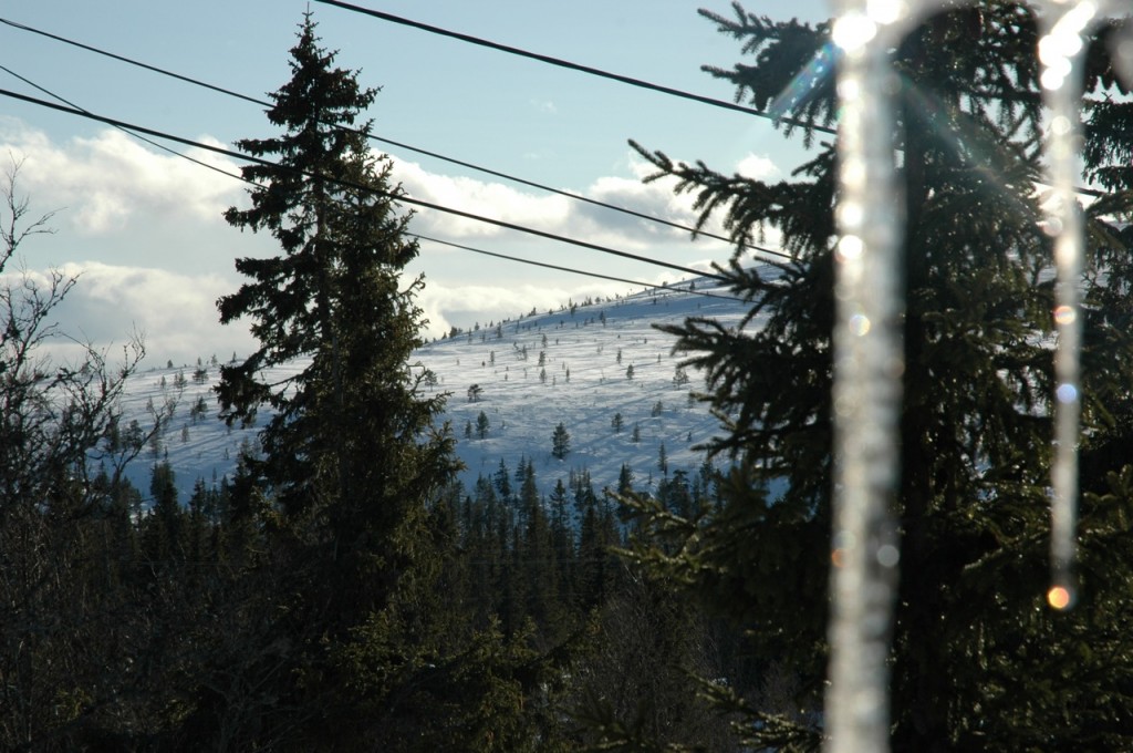 dsc_8840